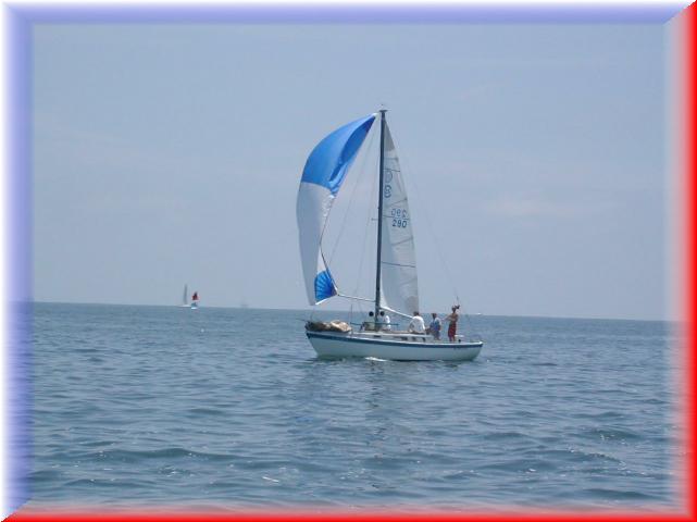 TrimDown290