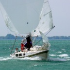 cal2008nood4
