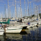 Cal 25 201026