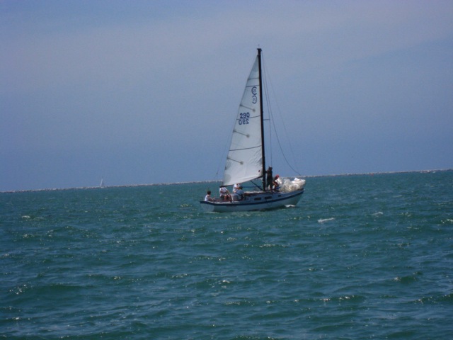 Loading Image