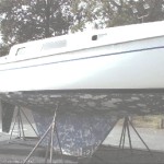 September Wind #619 - 30 yr paint