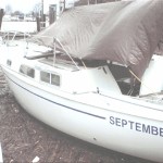 September Wind #619 - Date of purchase