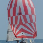 Harlequin #1203 - Lee Surla