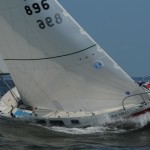 Zephyr #896 - David Hoyt