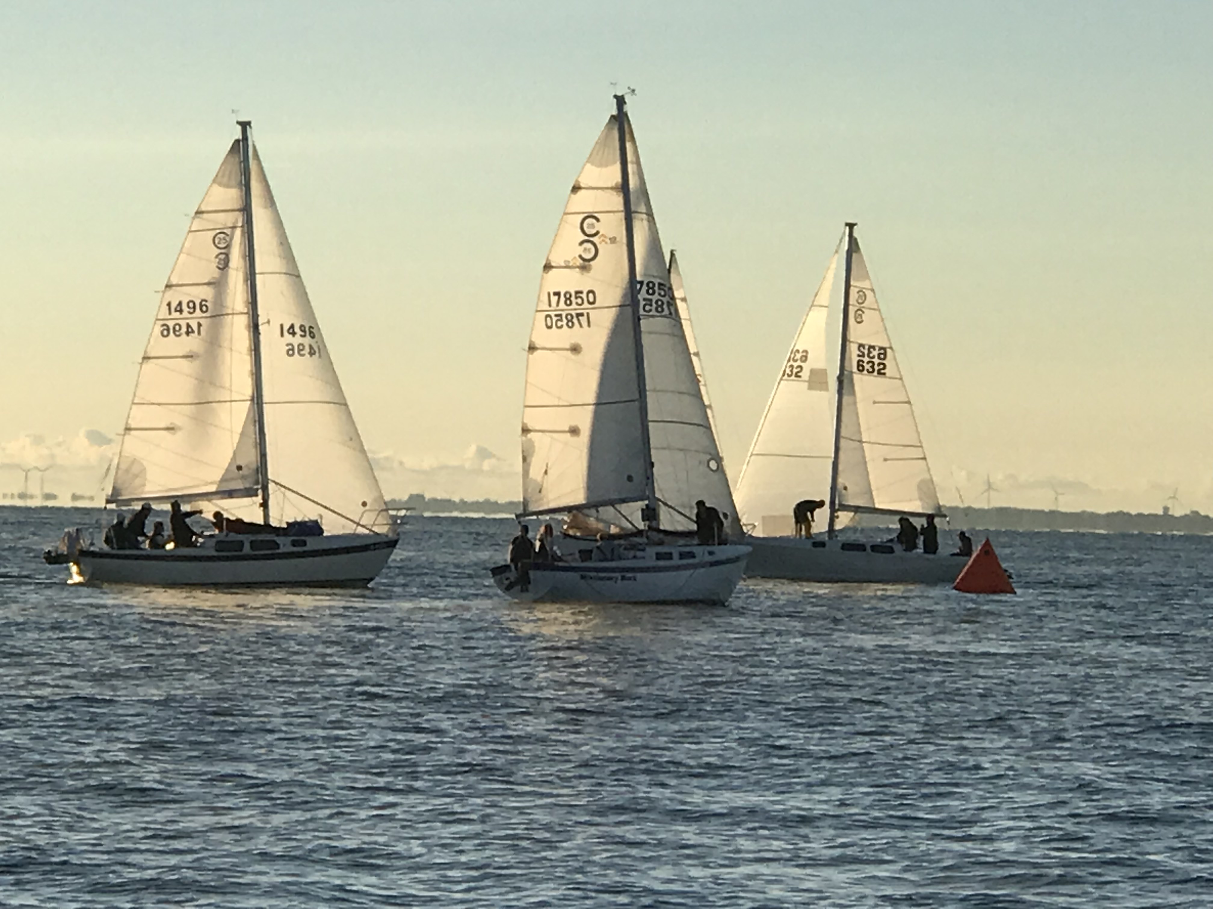 bayview yacht club regatta