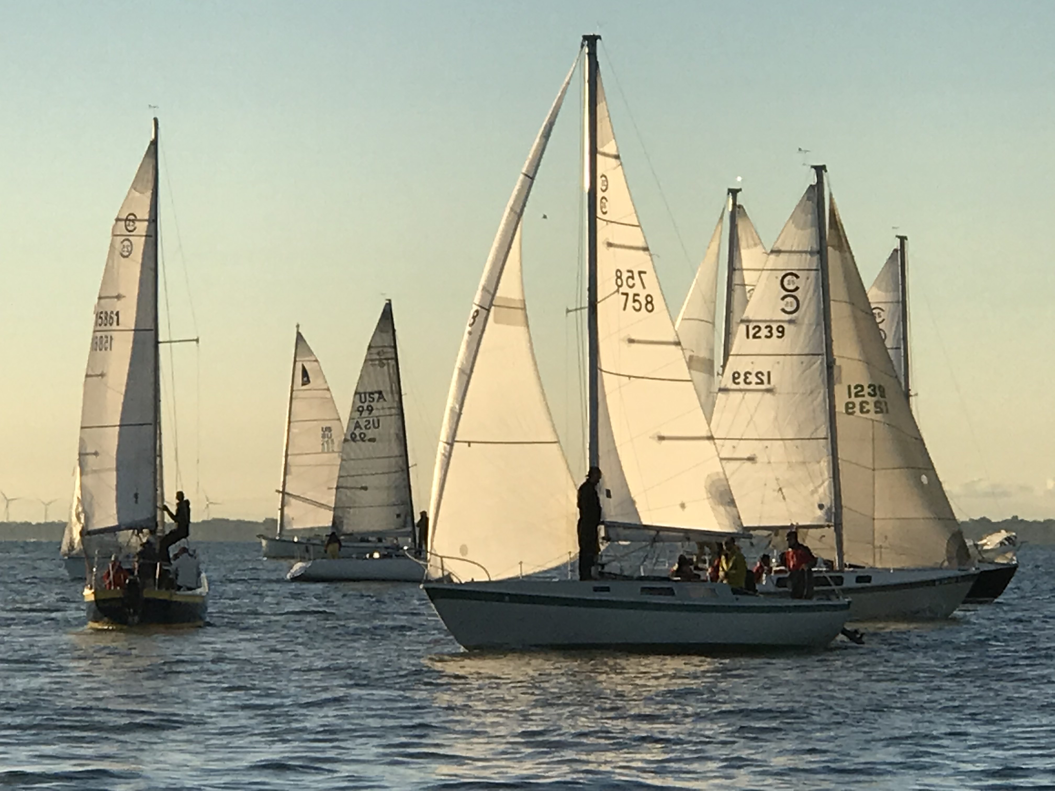 bayview yacht club regatta